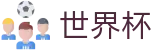 FIFA 2026世界杯World Cup · 2026年世界杯购票抽签流程全攻略